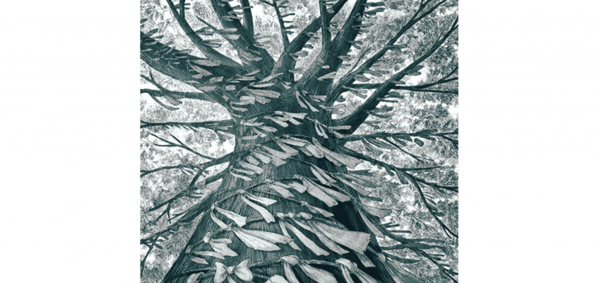 Katherine Applegate Kívánságfa Kocsis Katica-03